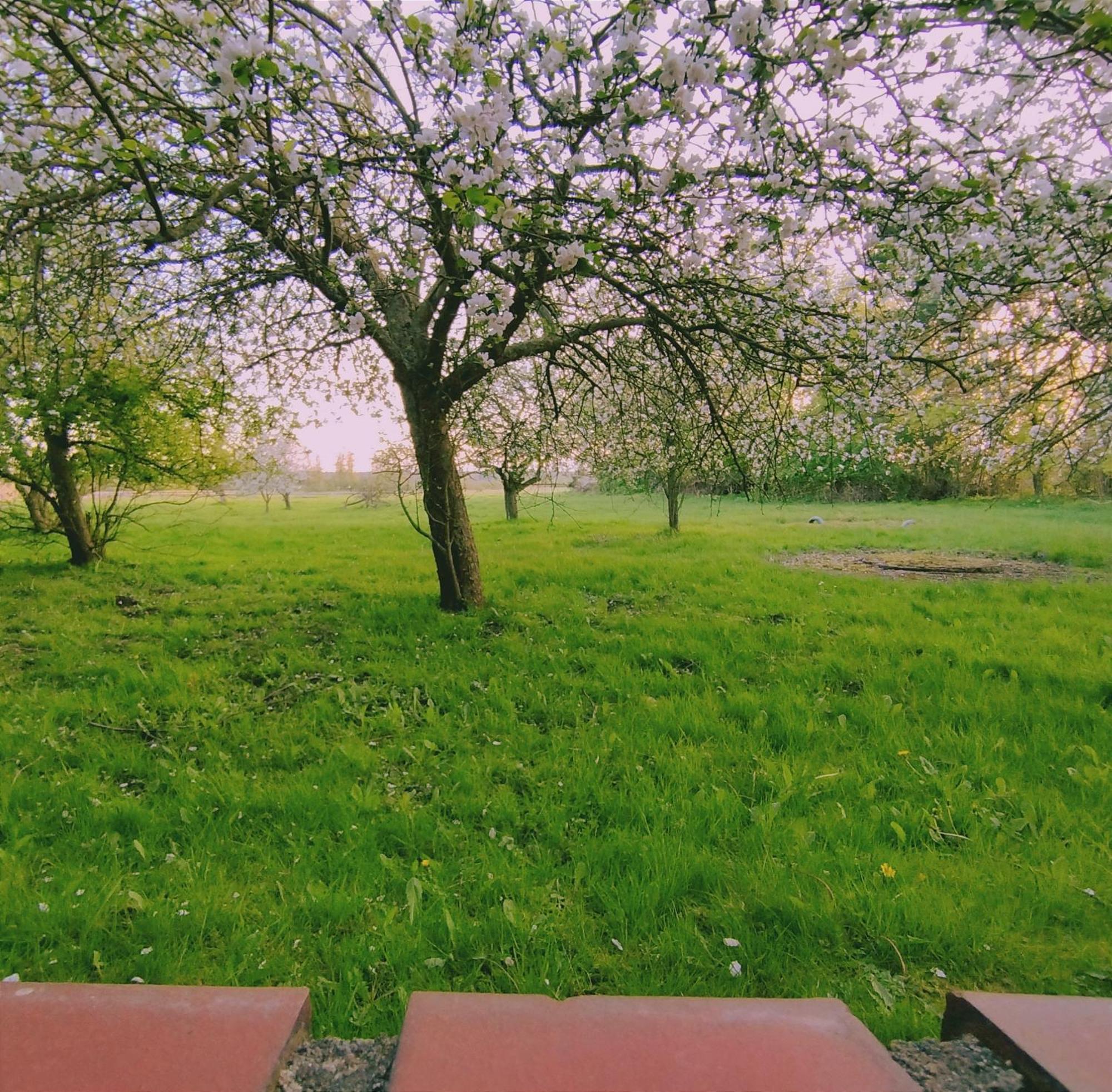 Kuestenliebe Gartenpension & Бёргеренде-Ретвиш